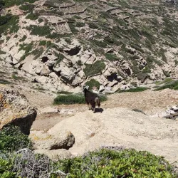 Amorgos Hiking Trails - Aegiali