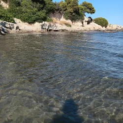 Agia Marina Beach - Aegina