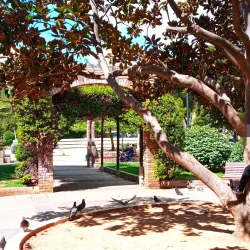 Alsos Agias Paraskevis (Agia Paraskevi Grove) - Agia Paraskevi