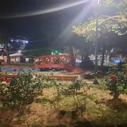 Alsos Agias Paraskevis (Agia Paraskevi Grove) - Agia Paraskevi