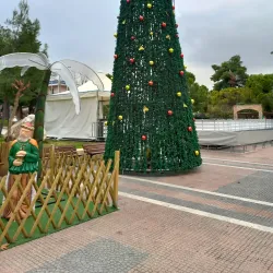 Alsos Agias Paraskevis (Agia Paraskevi Grove) - Agia Paraskevi