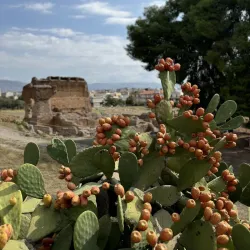 Ancient Theatre of Argos - Argos