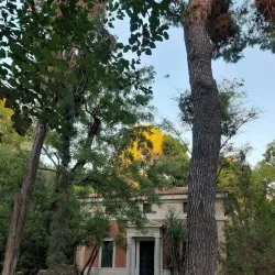 National Garden of Athens - Athens