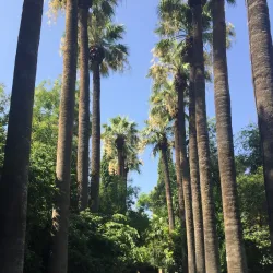 National Garden of Athens - Athens