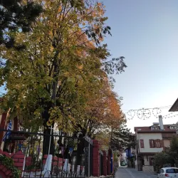 Arnea Village - Chalkidiki