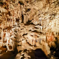 Petralona Cave and Anthropological Museum - Chalkidiki