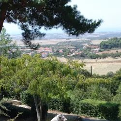 Petralona Cave and Anthropological Museum - Chalkidiki