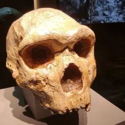 Petralona Cave and Anthropological Museum - Chalkidiki