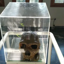 Petralona Cave and Anthropological Museum - Chalkidiki