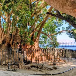 Corfu Botanical Gardens - Corfu