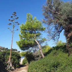 Kanoni and Mouse Island (Pontikonisi) - Corfu