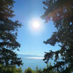 Mon Repos Palace and Museum - Corfu