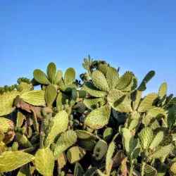 Mavrovouni Beach - Githio (Gythio)