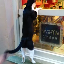 Monemvasia Fortress (Day Trip) - Githio (Gythio)