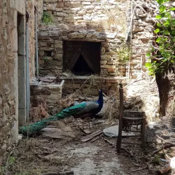 Vathia Village - Githio (Gythio)