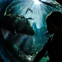 Cretaquarium - Heraklion