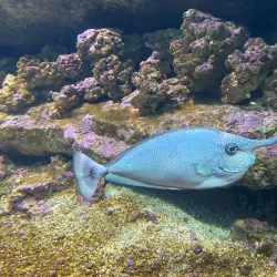 Cretaquarium - Heraklion