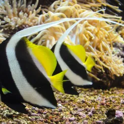 Cretaquarium - Heraklion