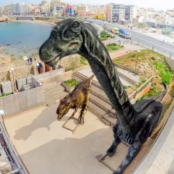 Natural History Museum of Crete - Heraklion