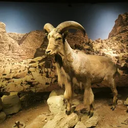 Natural History Museum of Crete - Heraklion