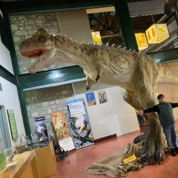 Natural History Museum of Crete - Heraklion