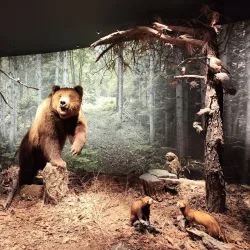 Natural History Museum of Crete - Heraklion