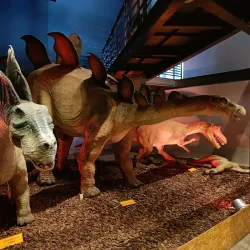 Natural History Museum of Crete - Heraklion