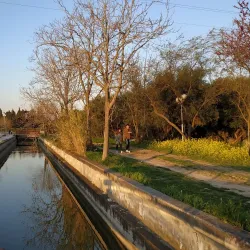 Ilion Sports Center - Ilion