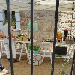 Local Market of Ilion - Ilion