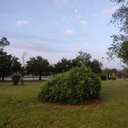 Municipal Park of Karditsa - Karditsa
