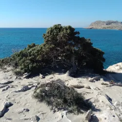 Diakoftis Beach - Karpathos