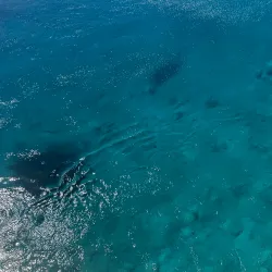 Saria Island - Karpathos