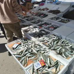 Central Market of Komotini - Komotini