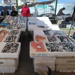 Central Market of Komotini - Komotini