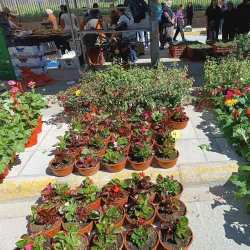 Central Market of Komotini - Komotini