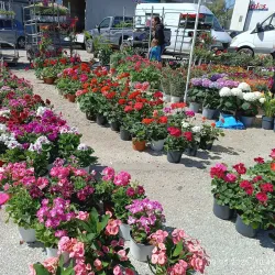 Central Market of Komotini - Komotini
