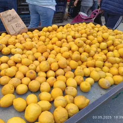 Central Market of Komotini - Komotini