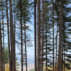 Rhodope Mountains - Komotini