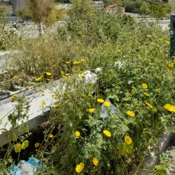 Koridallos Coastal Area - Koridallos (Korydalos)