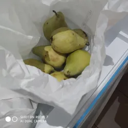 Koridallos Market - Koridallos (Korydalos)