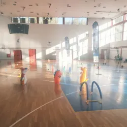 Koridallos Sports Complex - Koridallos (Korydalos)