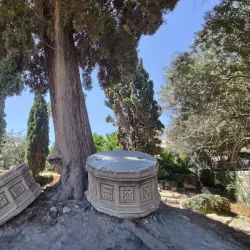 Ancient Agora of Kos - Kos