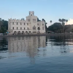 Hippocrates Tree - Kos