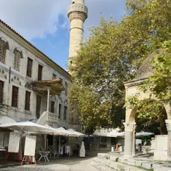 Hippocrates Tree - Kos