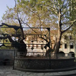 Hippocrates Tree - Kos