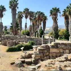 Hippocrates Tree - Kos