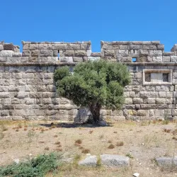 Kos Castle (Neratzia Castle) - Kos