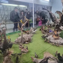 Archaeological Museum of Kozani - Kozani