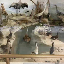 Folklore Museum of Kozani - Kozani