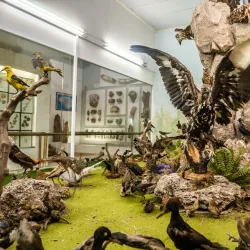 Folklore Museum of Kozani - Kozani